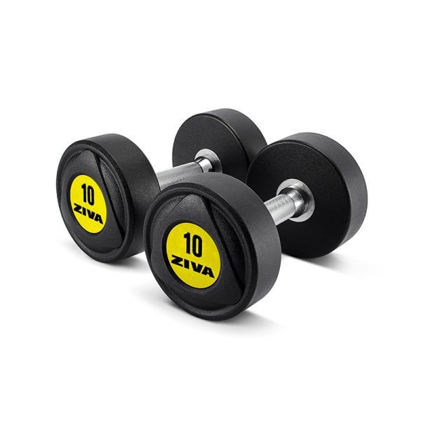 SL URETHANE DUMBBELLS