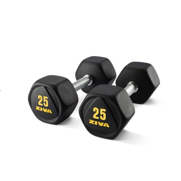 SL Premium Hexagon Virgin Rubber Dumbbell
