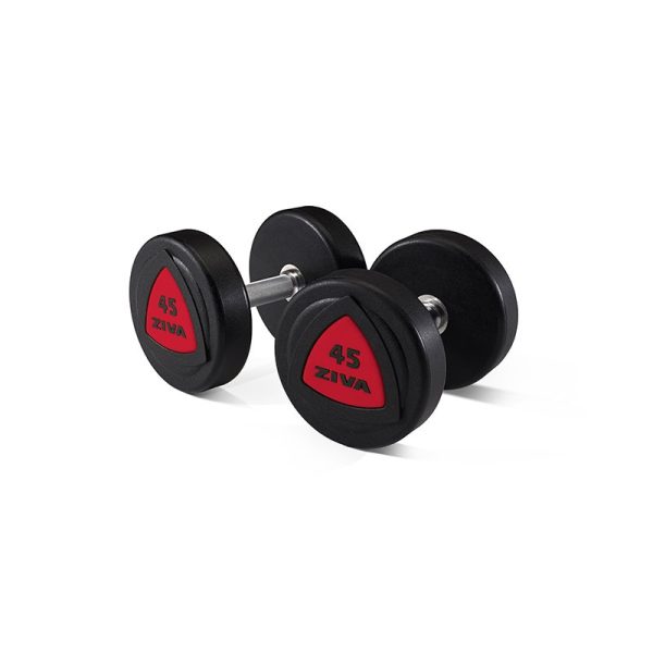 ZVO Urethane Dumbbell