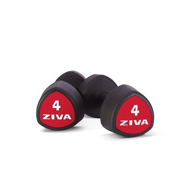 ZVO Urethane Tribell Studio Dumbbells