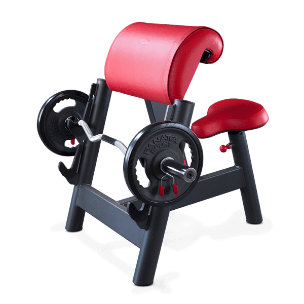 Seated curl bench / 1SC208
