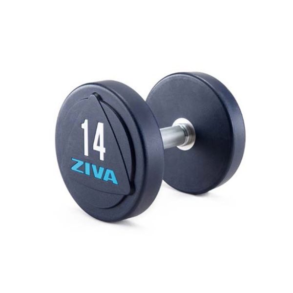 ZVO SOLID STEEL URETHANE DUMBBELL PLUS