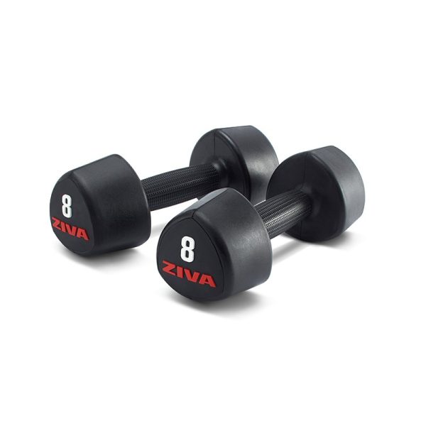SL Virgin Rubber Tribell Studio Dumbbell