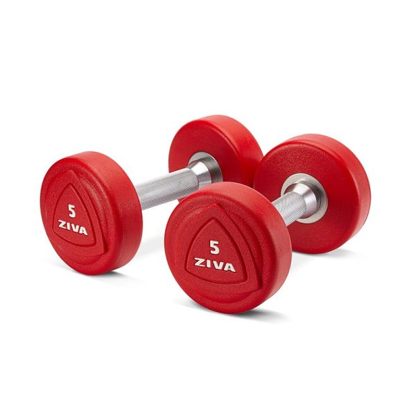 ZVO Solid Steel Urethane Dumbbell