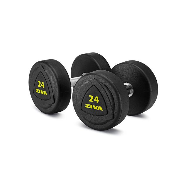 ZVO Solid Steel Rubber Dumbbells