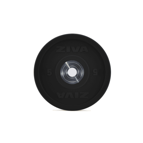 ZVO Rubber Solid Color Training Bumper Discs