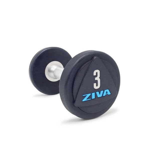 ZVO SOLID STEEL URETHANE STUDIO DUMBBELL PLUS