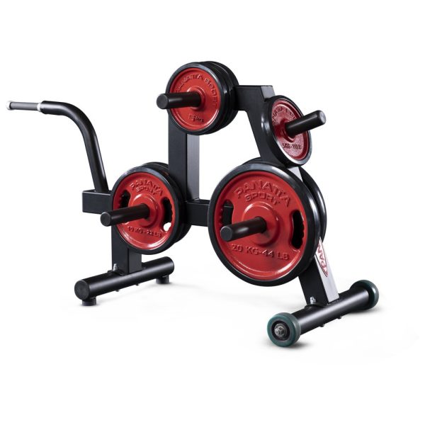POWERLIFTING DISK RACK / 1PWL201