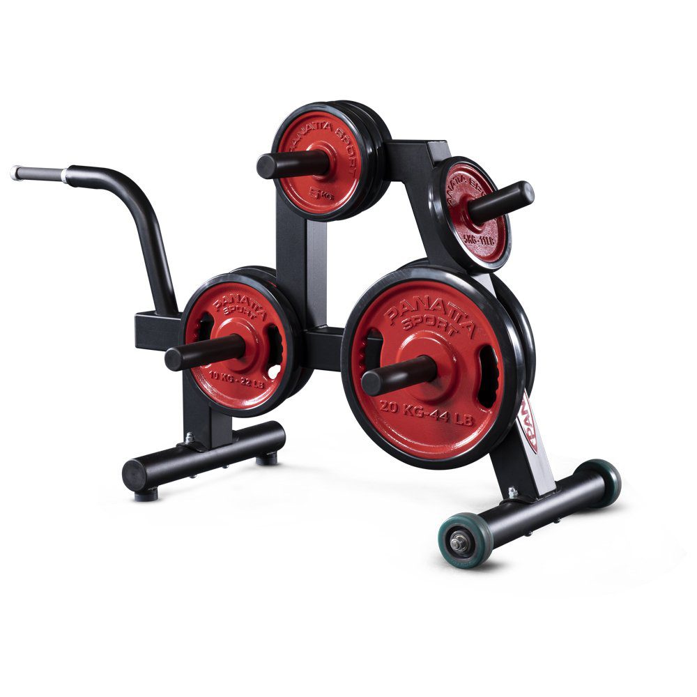 POWERLIFTING-DISK-RACK-1PWL201.jpg