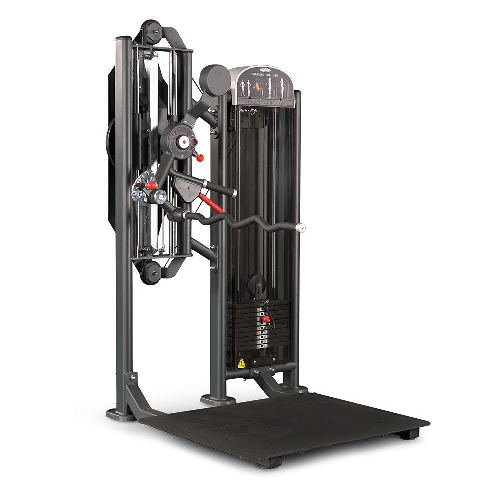 STANDING-TOTAL-ARMS-1FE055A.jpg